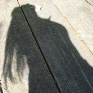 Meet your Posher, Francesca